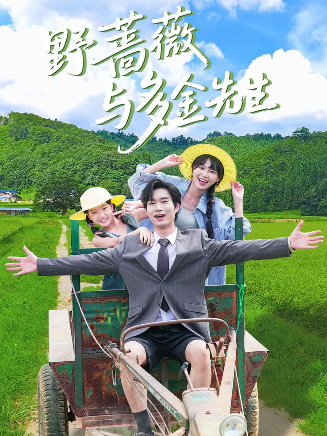 野蔷薇与多金先生