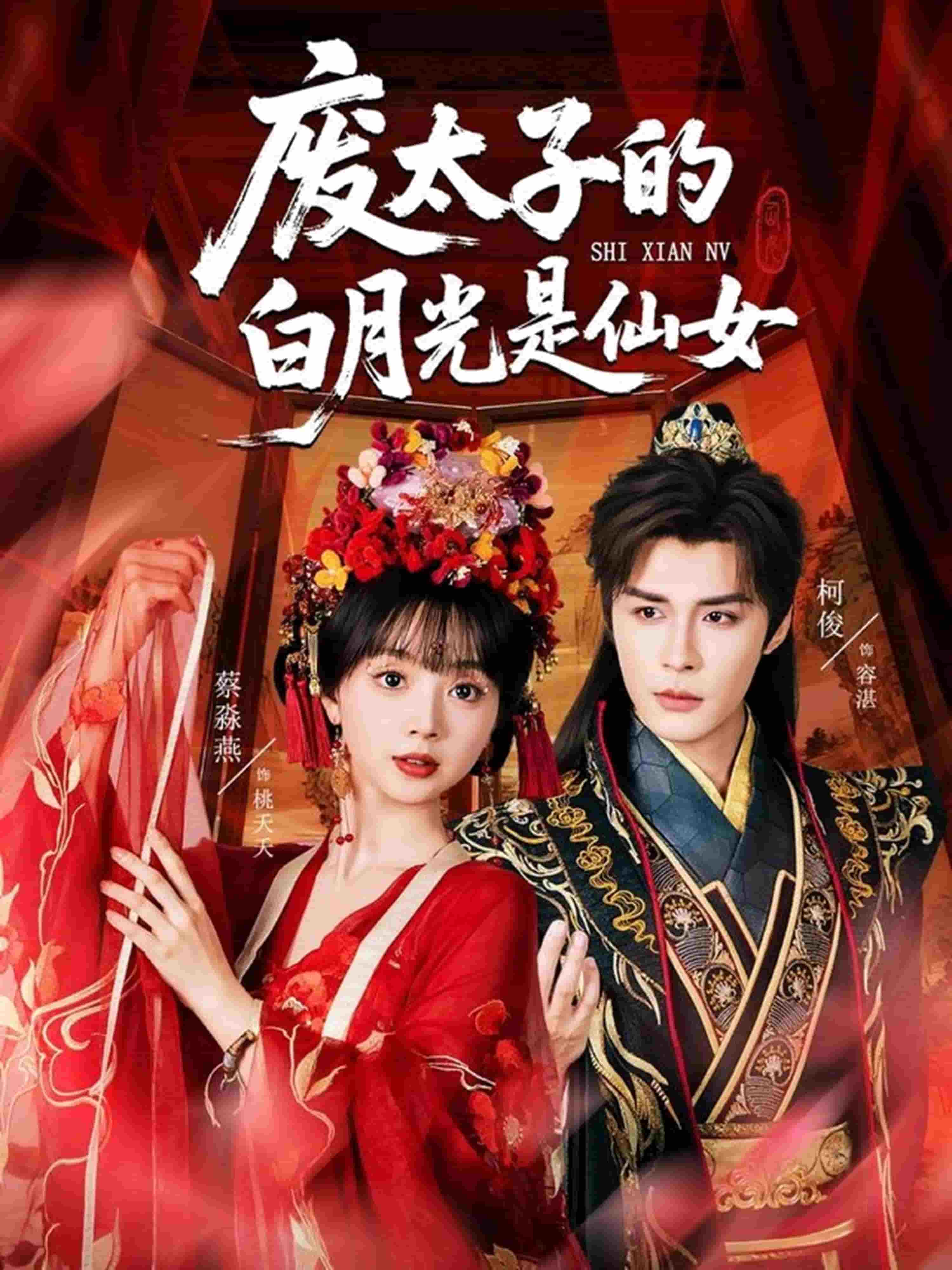 废太子的白月光是仙女